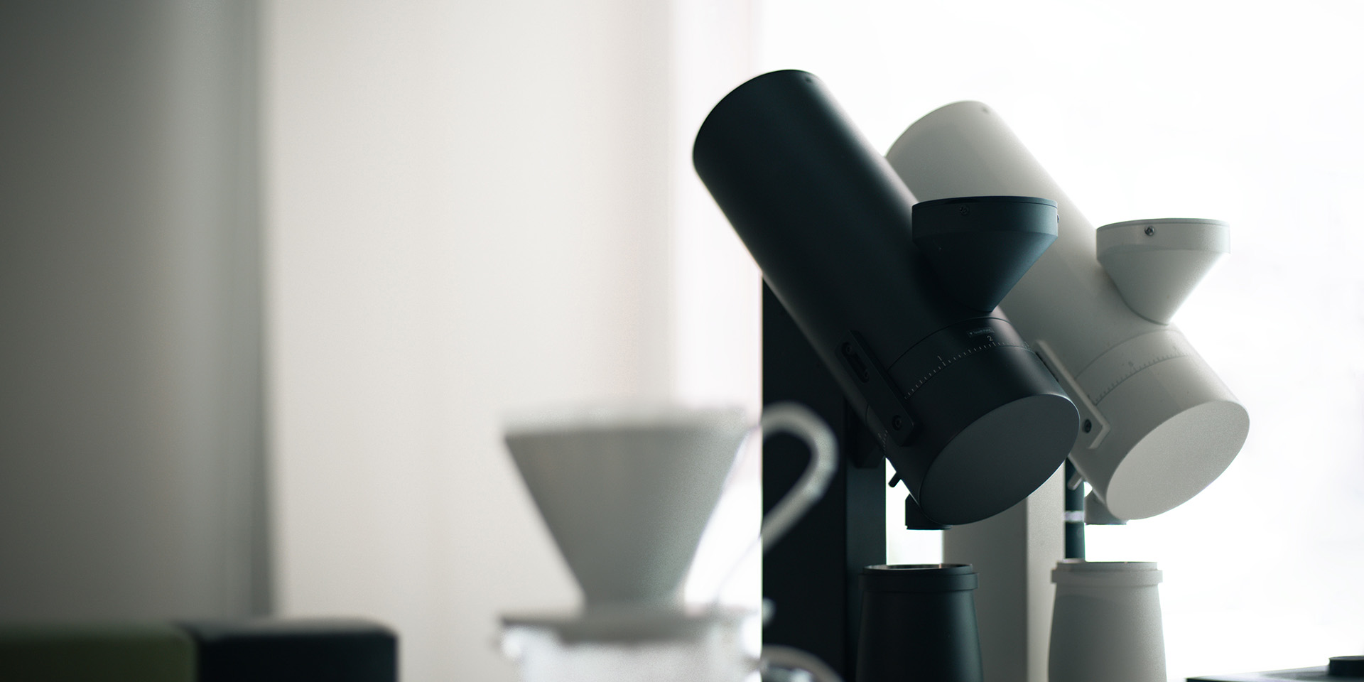 Acaia