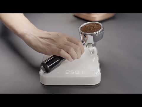 Fiorenzato AllGround Sense Schwarz Kaffeemühle